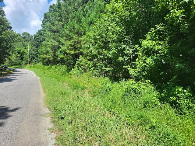 2 Chestnut Hill Rd, Eva, TN 38333 - photo 3