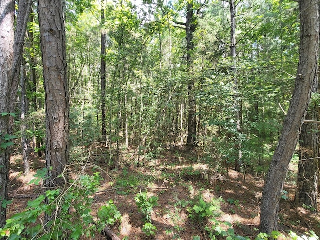 2 Chestnut Hill Rd, Eva, TN 38333 - photo 6
