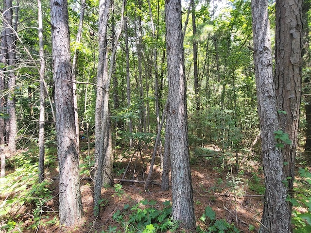 2 Chestnut Hill Rd, Eva, TN 38333 - photo 4
