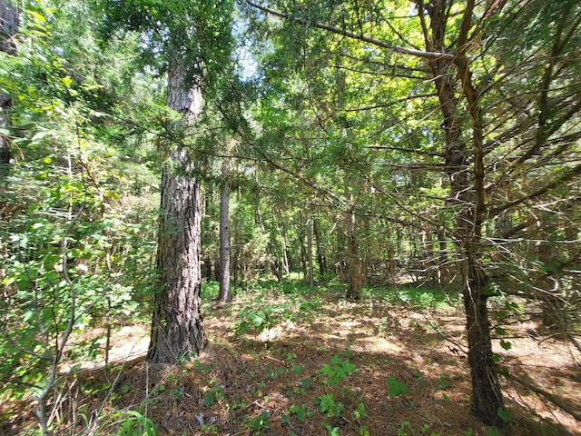 2 Chestnut Hill Rd, Eva, TN 38333 - photo 8