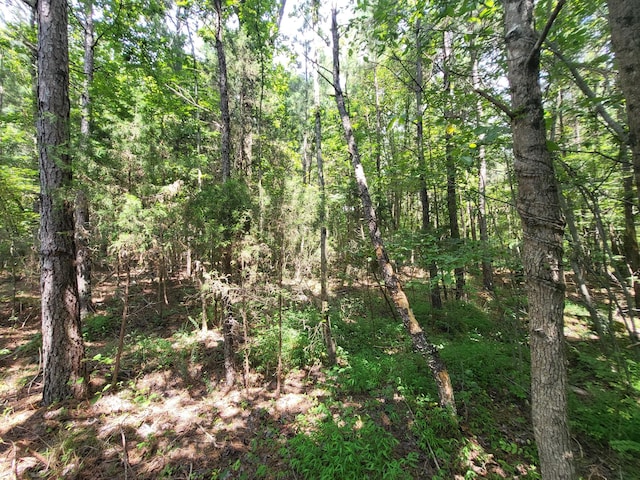 2 Chestnut Hill Rd, Eva, TN 38333 - photo 10
