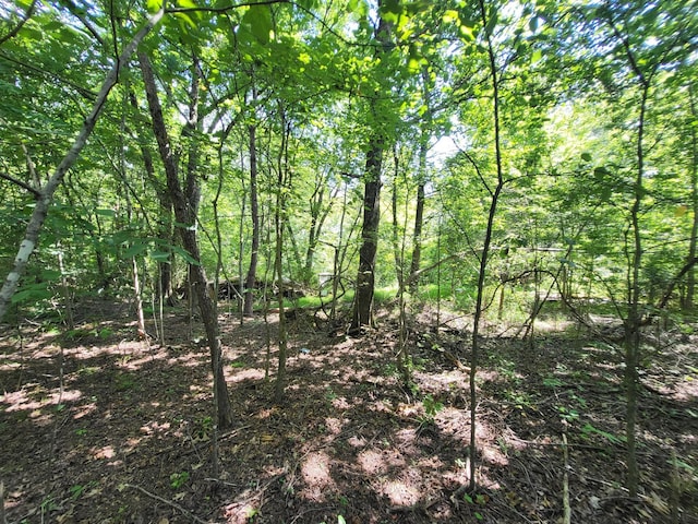 2 Chestnut Hill Rd, Eva, TN 38333 - photo 14