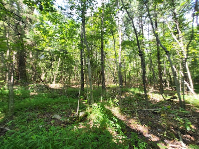 2 Chestnut Hill Rd, Eva, TN 38333 - photo 12