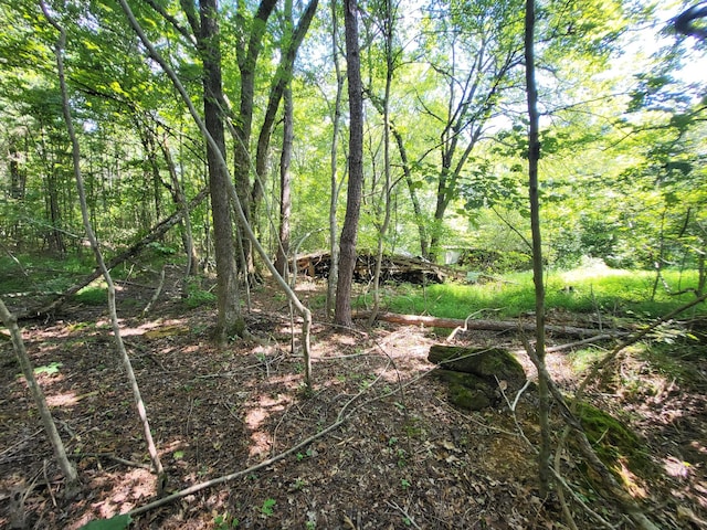 2 Chestnut Hill Rd, Eva, TN 38333 - photo 15