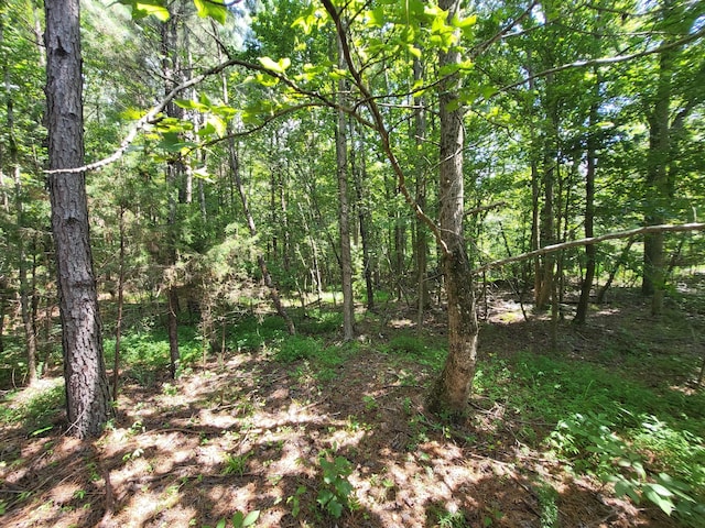 2 Chestnut Hill Rd, Eva, TN 38333 - photo 9
