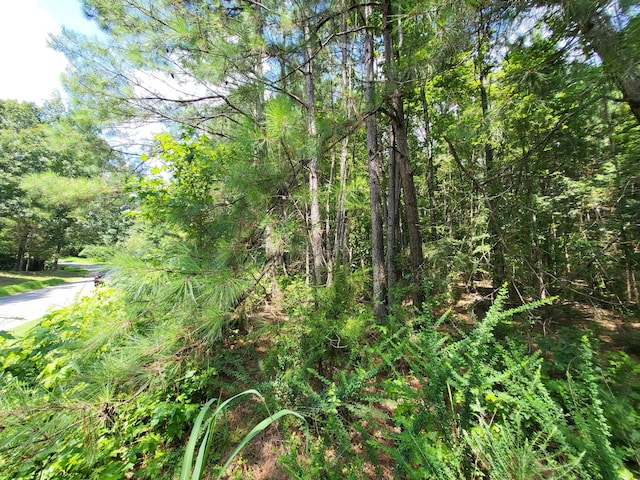 3 Chestnut Hill Rd, Eva, TN 38333 - photo 6