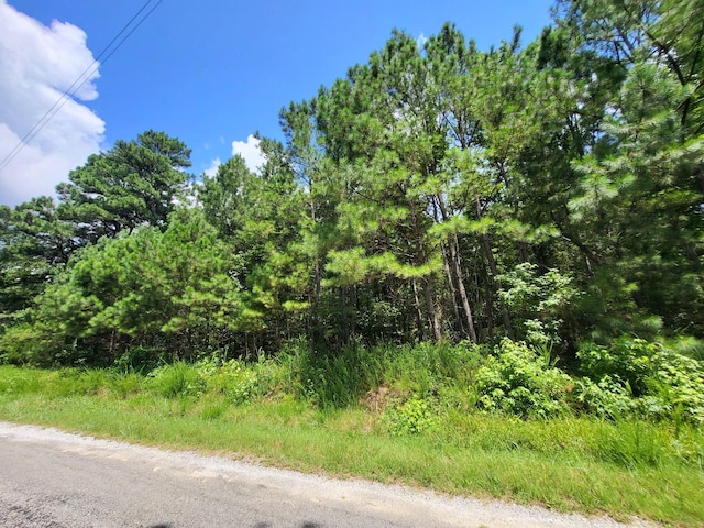 3 Chestnut Hill Rd, Eva, TN 38333 - photo 4