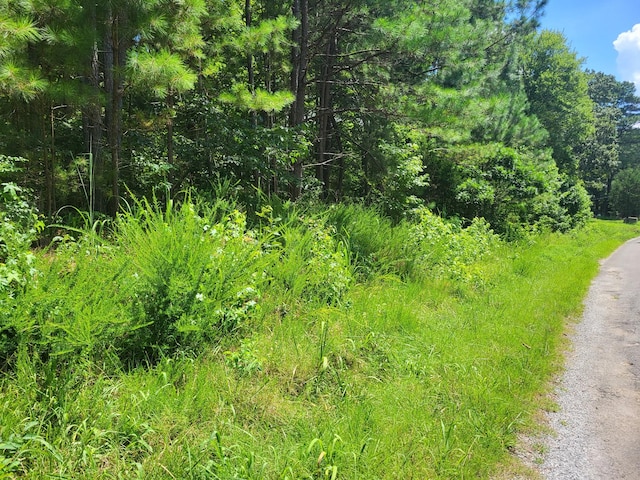 3 Chestnut Hill Rd, Eva, TN 38333 - photo 8