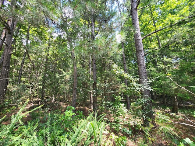 3 Chestnut Hill Rd, Eva, TN 38333 - photo 5