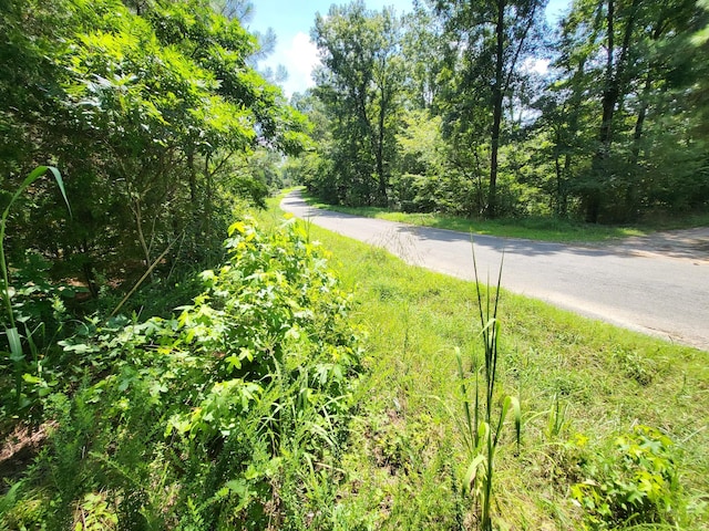 3 Chestnut Hill Rd, Eva, TN 38333 - photo 7