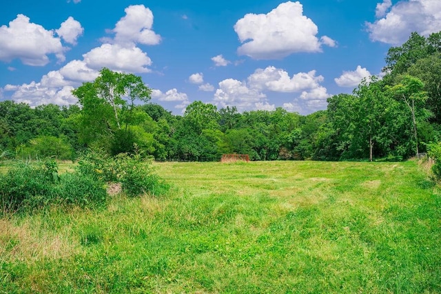 1485 Cornersville Hwy, Lewisburg, TN 37091 - photo 47