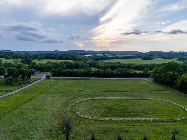 1485 Cornersville Hwy, Lewisburg, TN 37091 - photo 49