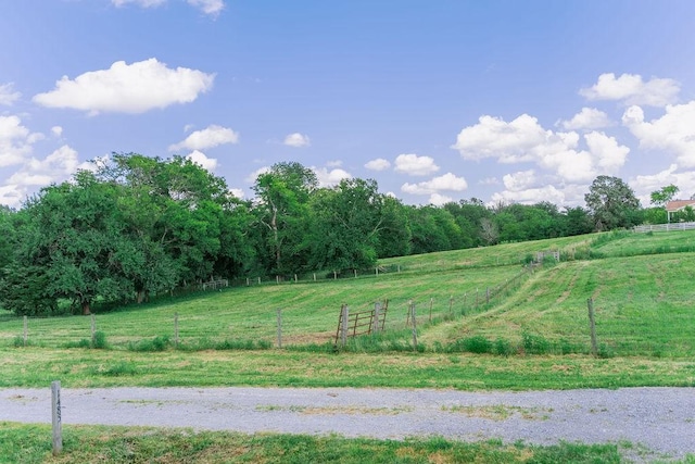 1485 Cornersville Hwy, Lewisburg, TN 37091 - photo 50