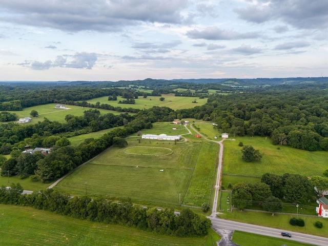 1485 Cornersville Hwy, Lewisburg, TN 37091 - photo 65
