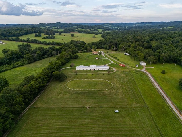 1485 Cornersville Hwy, Lewisburg, TN 37091 - photo 27