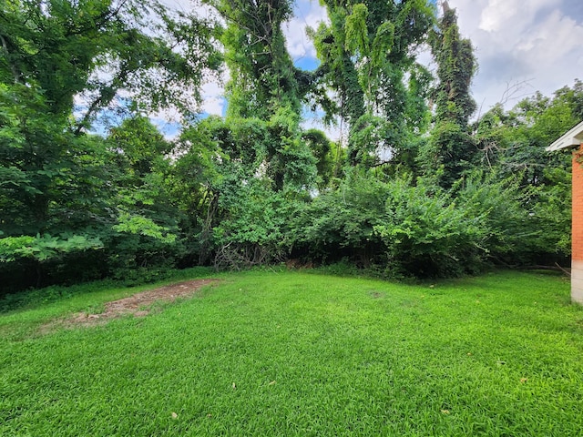 123 Thelma Dr, Mount Juliet, TN 37122 - photo 22