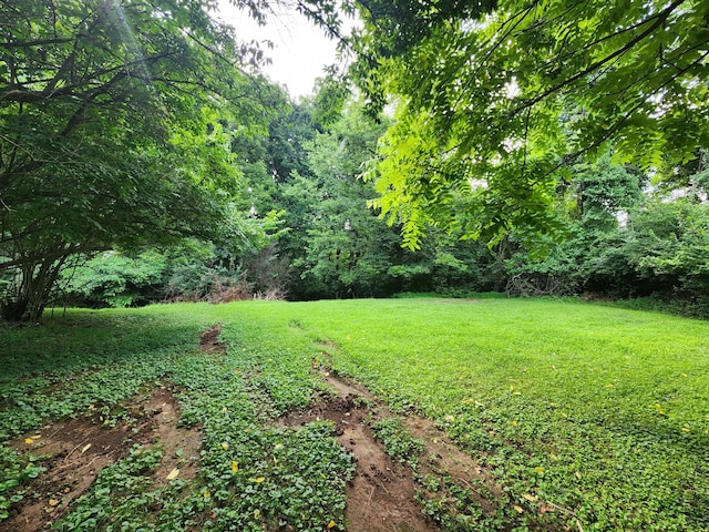 123 Thelma Dr, Mount Juliet, TN 37122 - photo 20