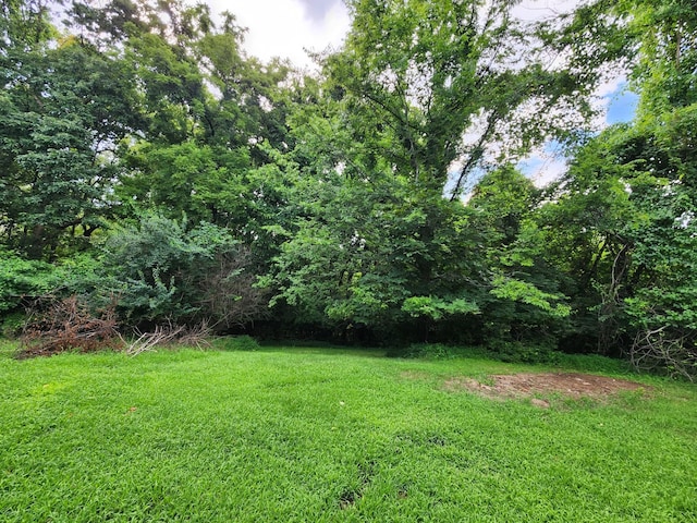 123 Thelma Dr, Mount Juliet, TN 37122 - photo 21