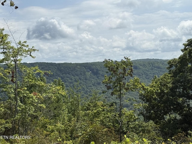 855 Eastridge Pass, Monterey, TN 38574 - photo 1