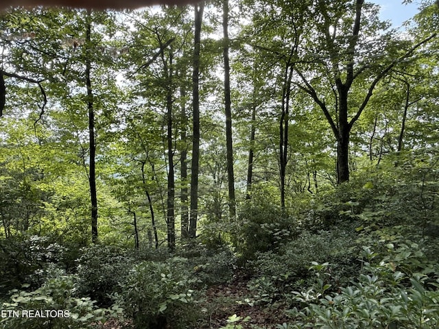 855 Eastridge Pass, Monterey, TN 38574 - photo 5