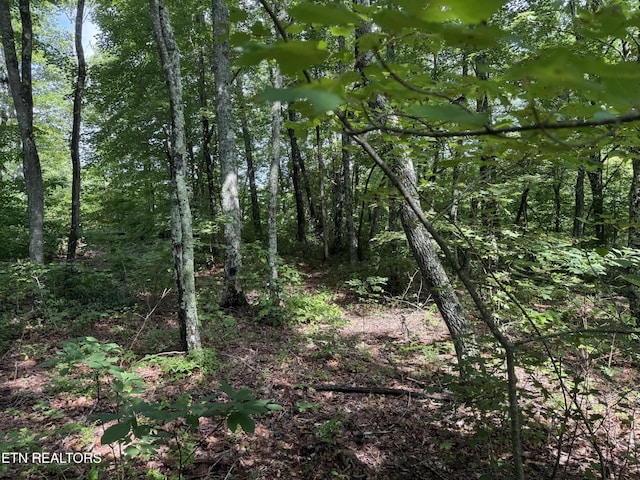855 Eastridge Pass, Monterey, TN 38574 - photo 8