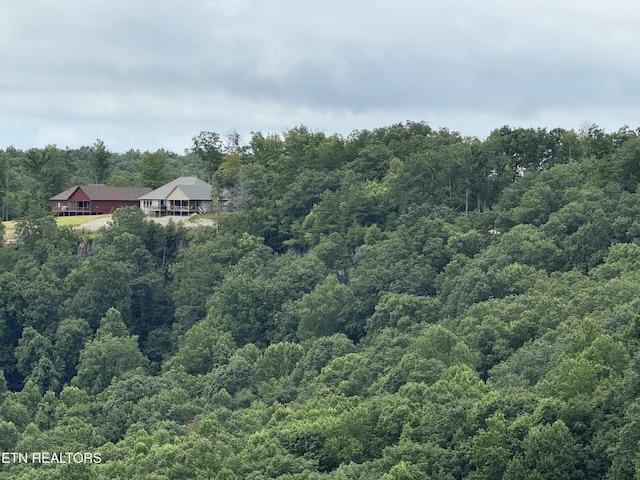 855 Eastridge Pass, Monterey, TN 38574 - photo 3