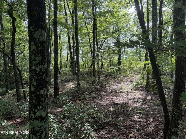 855 Eastridge Pass, Monterey, TN 38574 - photo 6