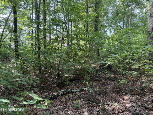 855 Eastridge Pass, Monterey, TN 38574 - photo 7