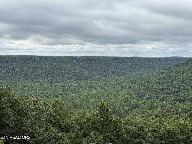 855 Eastridge Pass, Monterey, TN 38574 - photo 2