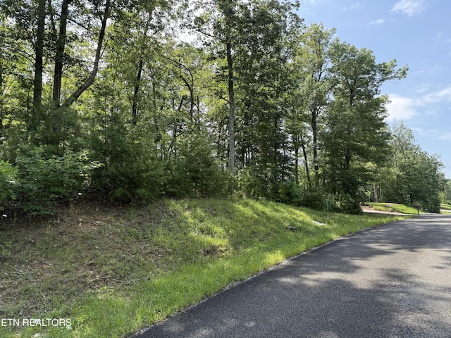 855 Eastridge Pass, Monterey, TN 38574 - photo 9