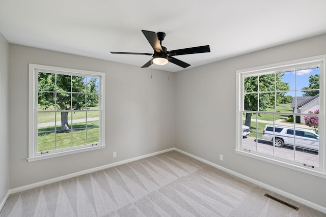 100 Catalpa Dr, Mount Juliet, TN 37122 - photo 38