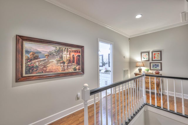 206 Timberline Dr, Franklin, TN 37069 - photo 42
