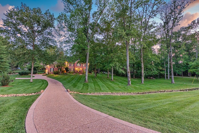 206 Timberline Dr, Franklin, TN 37069 - photo 54
