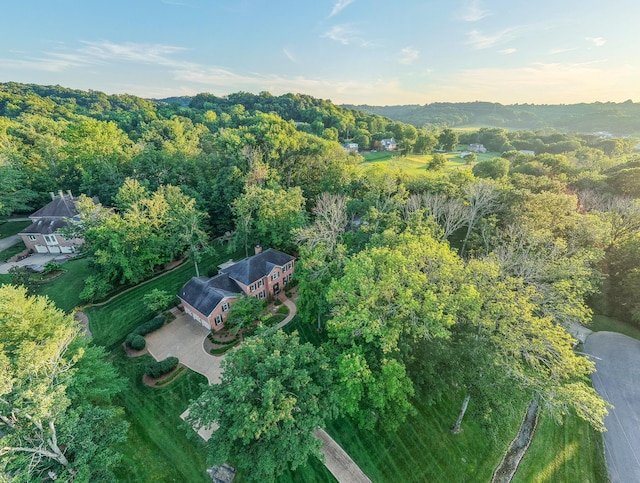 206 Timberline Dr, Franklin, TN 37069 - photo 46