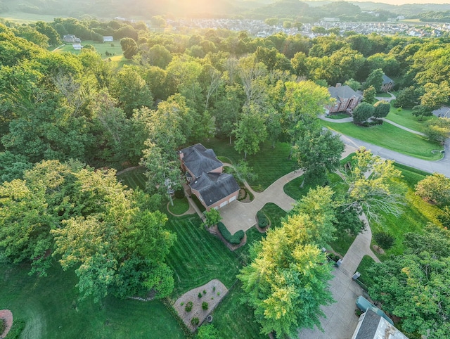 206 Timberline Dr, Franklin, TN 37069 - photo 45