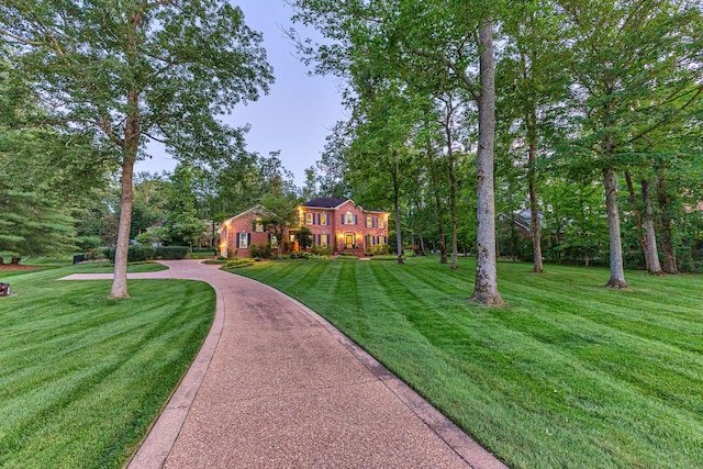 206 Timberline Dr, Franklin, TN 37069 - photo 53