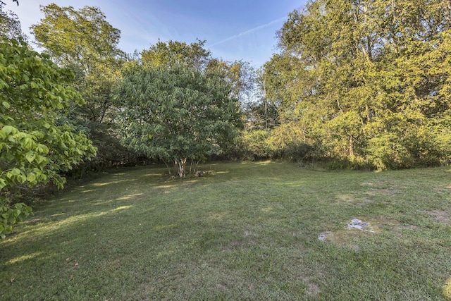 3798 Mccandless Rd, Columbia, TN 38401 - photo 28