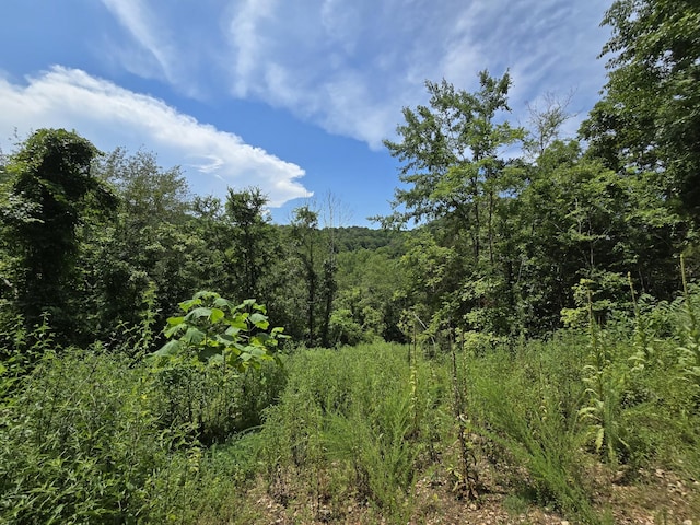 296 Little Creek Rd, Pleasant Shade, TN 37145 - photo 22
