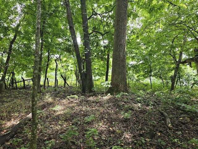 296 Little Creek Rd, Pleasant Shade, TN 37145 - photo 20