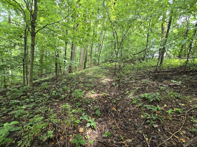 296 Little Creek Rd, Pleasant Shade, TN 37145 - photo 16