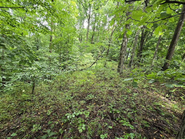 296 Little Creek Rd, Pleasant Shade, TN 37145 - photo 15