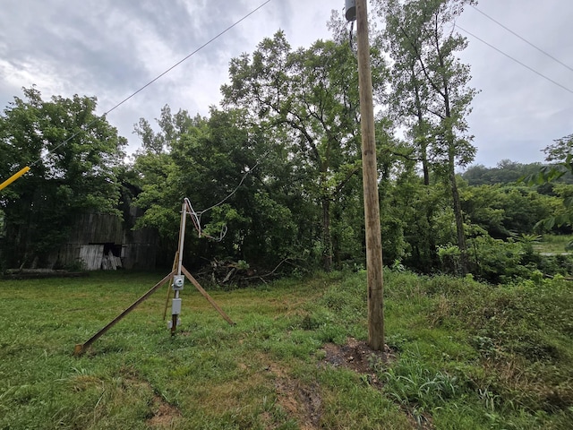296 Little Creek Rd, Pleasant Shade, TN 37145 - photo 4