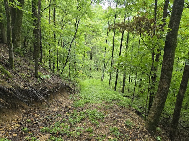 296 Little Creek Rd, Pleasant Shade, TN 37145 - photo 10