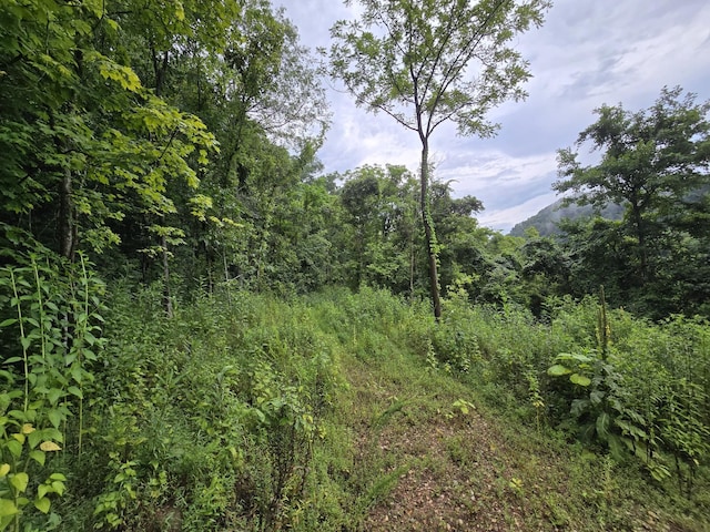 296 Little Creek Rd, Pleasant Shade, TN 37145 - photo 7