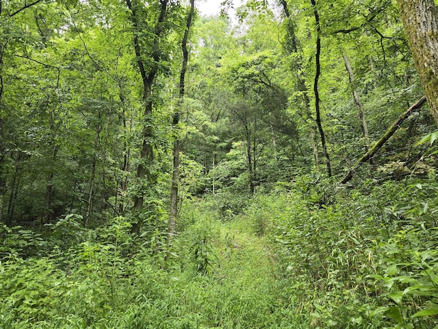 296 Little Creek Rd, Pleasant Shade, TN 37145 - photo 9