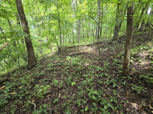 296 Little Creek Rd, Pleasant Shade, TN 37145 - photo 17