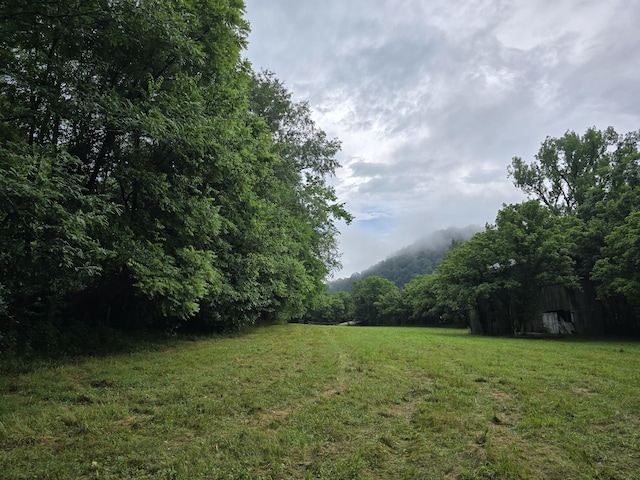 296 Little Creek Rd, Pleasant Shade, TN 37145 - photo 1