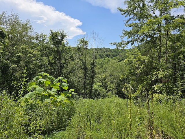 296 Little Creek Rd, Pleasant Shade, TN 37145 - photo 21
