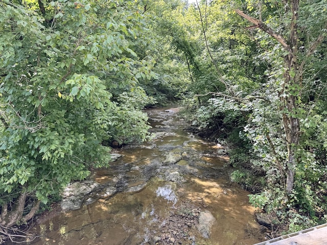 296 Little Creek Rd, Pleasant Shade, TN 37145 - photo 2