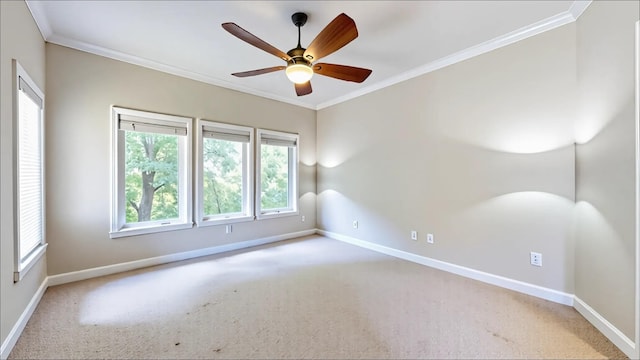320 Old Hickory Blvd Unit 1210, Nashville, TN 37221 - photo 41